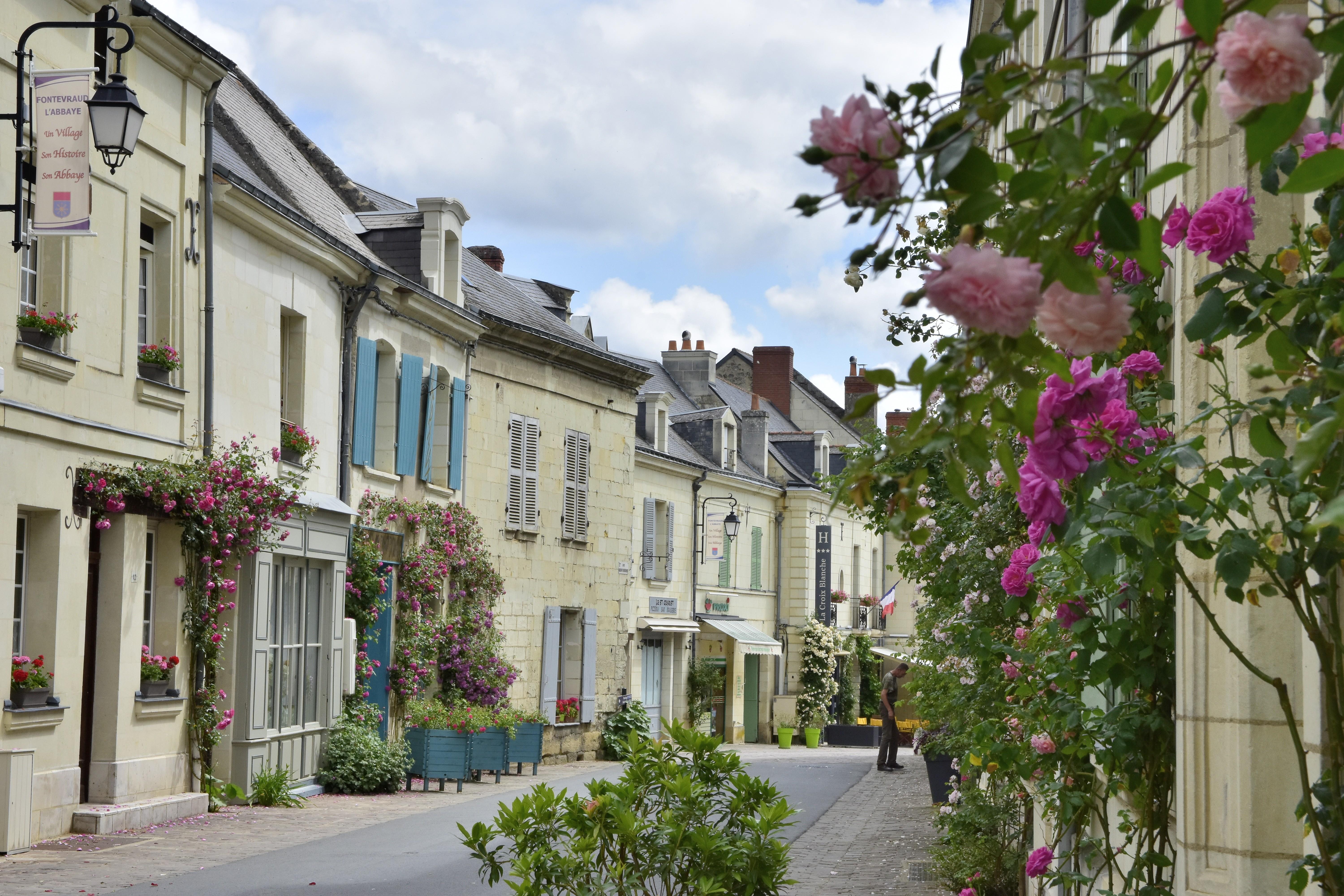 Logis Hotel La Croix Blanche Fontevraud Exterior foto